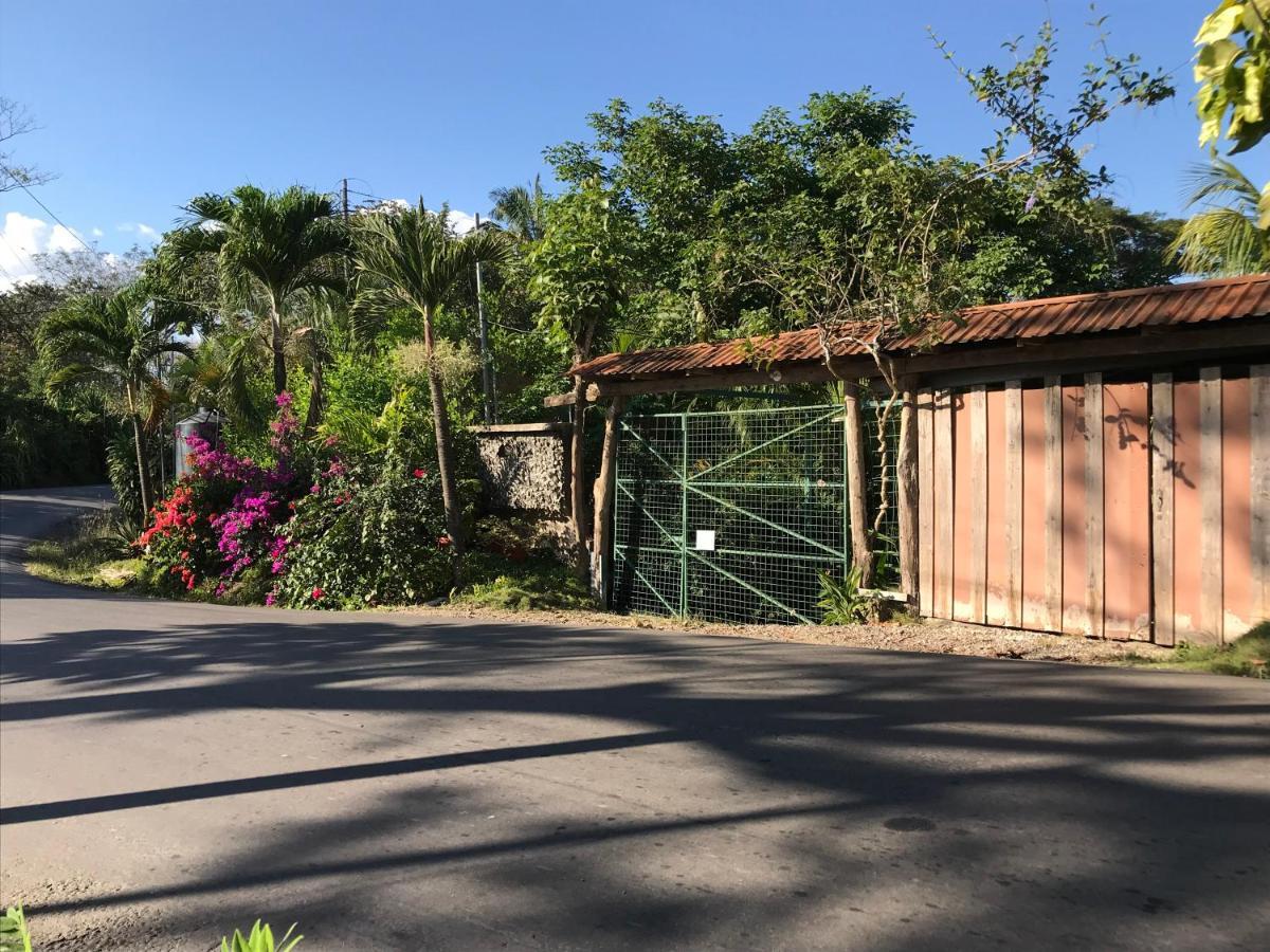 Flor De Paraiso Bungalows Montezuma Extérieur photo